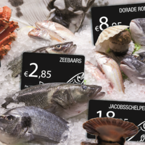 Hygienische Preisschilder in einer gekühlten Frischfischtheke an einem Wochenmarkt oder im Lebensmitteleinzelhandel
